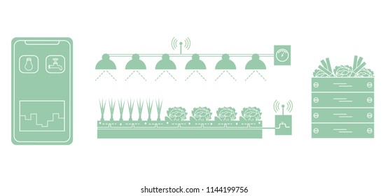 Smart farm and agriculture. Monitoring and control of temperature, humidity, light level. Cultivation of plants. New technologies. High yield.