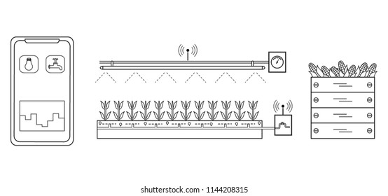 Smart farm and agriculture. Monitoring and control of temperature, humidity, light level. Cultivation of plants. New technologies. High yield.