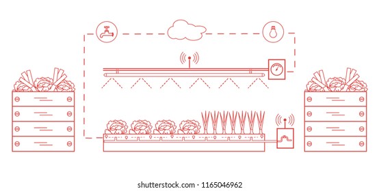 Smart farm and agriculture. Monitoring and control of temperature, humidity, light level. Cultivation of plants. New technologies. High yield.