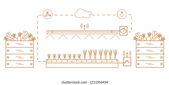 Smart farm and agriculture. Monitoring and control of temperature, humidity, light level. Cultivation of plants. New technologies. High yield.