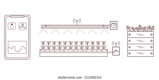 Smart farm and agriculture. Monitoring and control of temperature, humidity, light level. Cultivation of plants. New technologies. High yield.