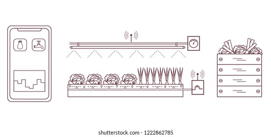 Smart farm and agriculture. Monitoring and control of temperature, humidity, light level. Cultivation of plants. New technologies. High yield.