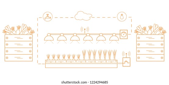 Smart farm and agriculture. Monitoring and control of temperature, humidity, light level. Cultivation of plants. New technologies. High yield.