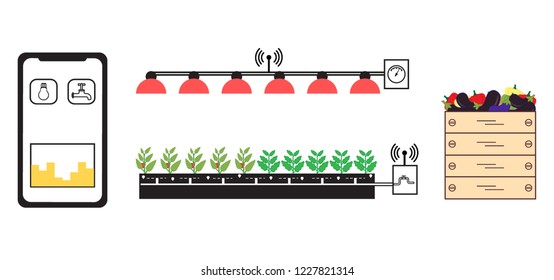 Smart farm and agriculture. Monitoring and control of temperature, humidity, light level. Cultivation of plants. New technologies. High yield.