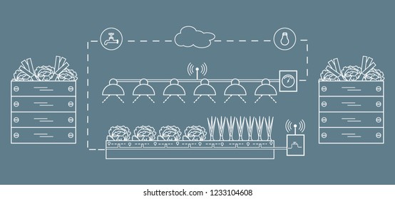 Smart farm and agriculture. Monitoring and control of temperature, humidity, light level. Cultivation of plants. New technologies. High yield.