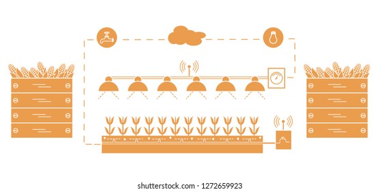 Smart farm and agriculture. Monitoring and control of temperature, humidity, light level. Cultivation of plants. New technologies. High yield.