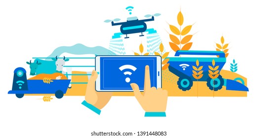 Smart Farm Hay Collection for Cows Cartoon Flat. In Foreground, Hands are Holding Smartphone with Application Manager Drone. Unmanned Tractor Harvesting. Automated Cow Feeder. Vector Illustration.