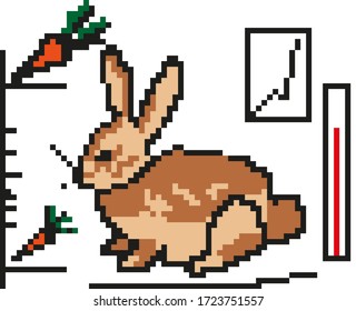 Smart farm Pixel Perfect rabbit