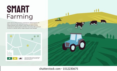 Smart farming illustration with tractor, cows, pasture, combine harvester, fields. Data collection and analysis from animals, agricultural machinery. Template for banner, annual report, prints, layout