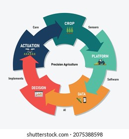 Smart Farming Precision Agriculture Cycle Infographic Stock Vector ...