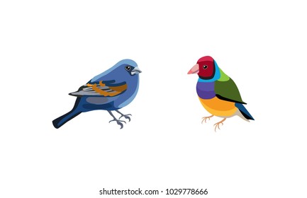 Smart green and blue birds. Colorful feathers, beaks and tails. Isolated objects. Vector Icons

