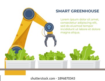 Smart Greenhouse Flat Vector Banner. Agriculture Automated Robot Near Salad Plantation.