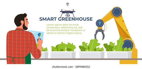 Smart Greenhouse Flat Vector Banner. Farmer Holds Tablet With Application For Remote Control .Agriculture Automated Robot Near Salad Plantation.