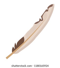 
Smart and long feather, aquila feather 
