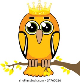 Smart Owl Bird