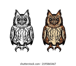 Smart Owl Birds Wearing Glasses Symbol Logo Vintage tyto bird vector illustration.
