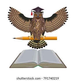 Smart owl in graduation hat with the straightened wings. Vector illustration isolated on white background