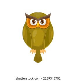 Smart owl isolated bird flat cartoon wildlife animal. Vector wise bird, logo or award, symbol of wisdom in studying. Owlet wild forest bird of prey mascot, feathered barn, long eared eagle owl