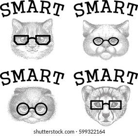 Smart pets