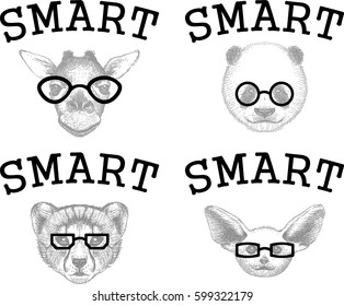 Smart pets