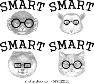 Smart pets