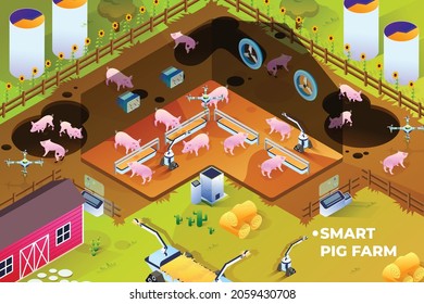 Smart Pig Farm - Isometric Illustration