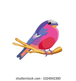 Smart pink bird with a red belly. Colorful feathers, beaks and tails. Isolated object. Vector Icons

