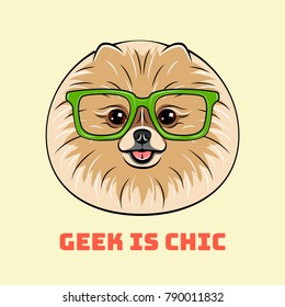 Smart spitz dog in glasses. Geek is chic. Vector illustration. Isolated.