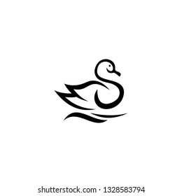 smart swan swimming