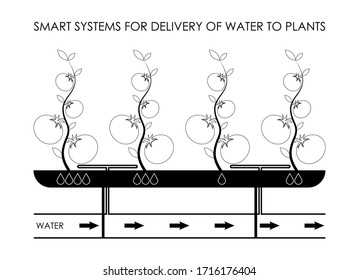 smart systems of point delivery of water to plants in greenhouses. Eco farming, increasing productivity. Isolated vector on white background