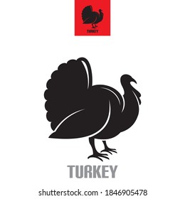 smart turkey logo in solid black color, vector illustrations