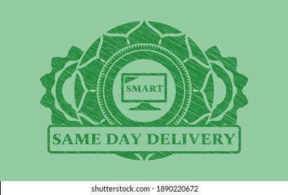 smart TV icon and Same day delivery text Green stroke emblem. Eco fancy background. Vector illustration. 