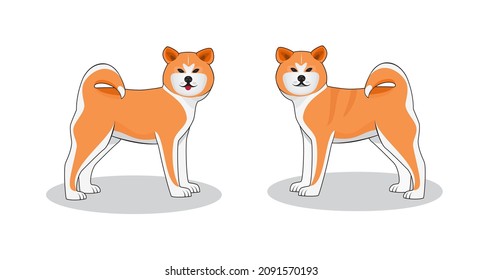 Intelligente junge Akita Hund oder Akita inu aus Nordjapan Zeichnung in Cartographie-Vektorgrafik