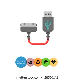 Smartphone charging plug