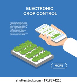 Smartphone in hand with an application for electronic control of the crop in the aeroponic system. Vegetables and grasses growing in the water flow system. Concept illustration. Isometric infographics