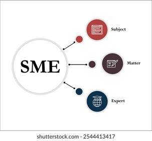 PYME - Experto en la materia. Plantilla de infografía con iconos y marcador de posición de descripción