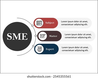 PYME - Experto en la materia. Plantilla de infografía con iconos y marcador de posición de descripción