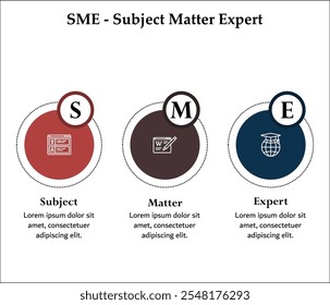 PYME - Experto en la materia. Plantilla de infografía con iconos y marcador de posición de descripción