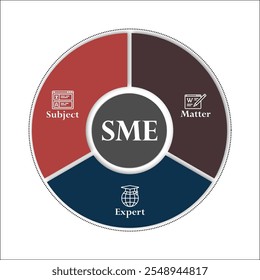 PYME - Experto en la materia. Plantilla de infografía con iconos y marcador de posición de descripción