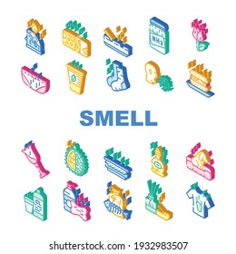 Smell Feel And Sense Collection Icons Set Vector. Cheese And Flowers, Smoking And Garbage Smell, Ammonia And Aroma Candles, Durian And Dog Isometric Sign Color Illustrations