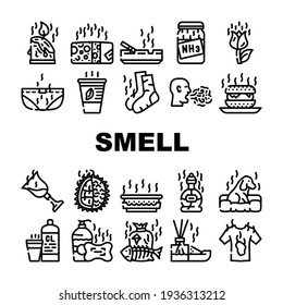 Smell Feel And Sense Collection Icons Set Vector. Cheese And Flowers, Smoking And Garbage Smell, Ammonia And Aroma Candles, Durian And Dog Black Contour Illustrations