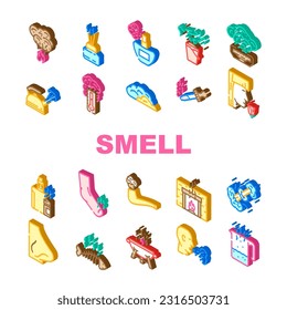 smell nose aroma odor icons set vector. sense gas, air line, smoke cloud, fragrance fresh, bad loss, anosmia fart, woman smell nose aroma odor glyph pictogram Illustrations