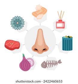 Smell Sense, Human Sense Nervous System Feeling Icon Collection with soap, bubble, aromatherapy,  scent, bottle, trash, fish bone, onion, meat, steak, flower, nose Anatomy Human Body Part