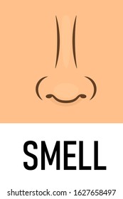 Smell sense icon. Clipart image isolated on background