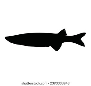 Smelt silhouette vector on white background.