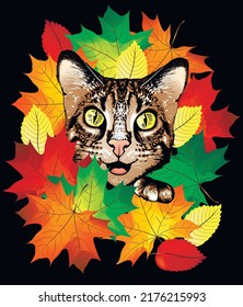Smile bengal kitten face sketch with orange maple leafs. Autumn vector illustration.