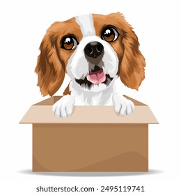 Smile dog in box vector illustration