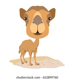 smile emoticon camel, vector illustration
