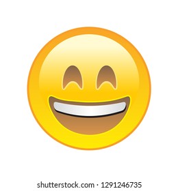 Smile Emoticon Vector