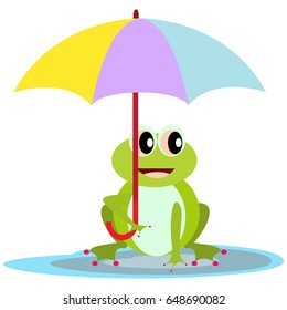 Smile Frog with color umbrella on puddle. Cute frog poster design for baby room decor, kids cloth decoration.